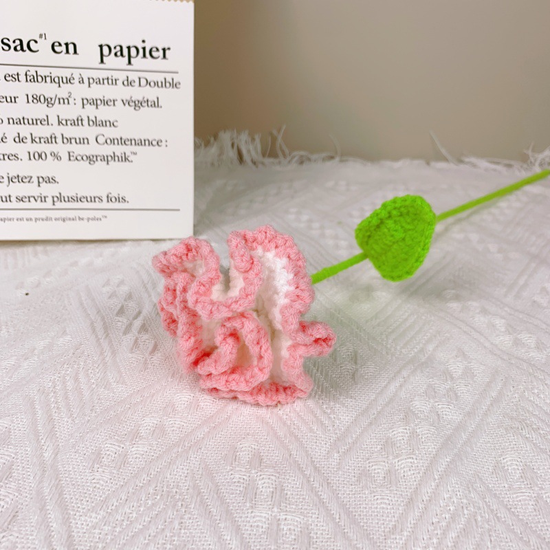 카네이션 그라데이션 핑크