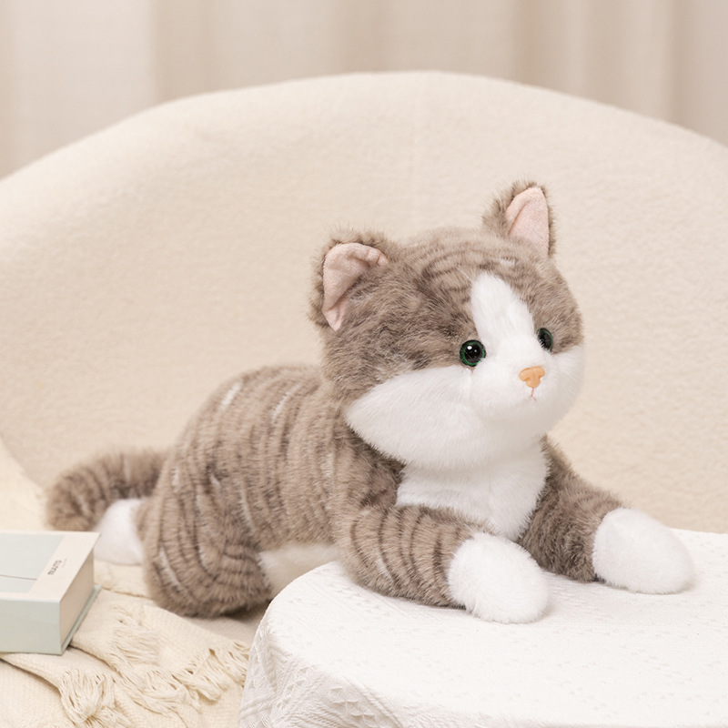 Juguetes de peluche de gato de simulación, muñecos de gatitos lindos, muñecas, muñecas, gatos de algalia, gatos, regalos creativos, gatos
