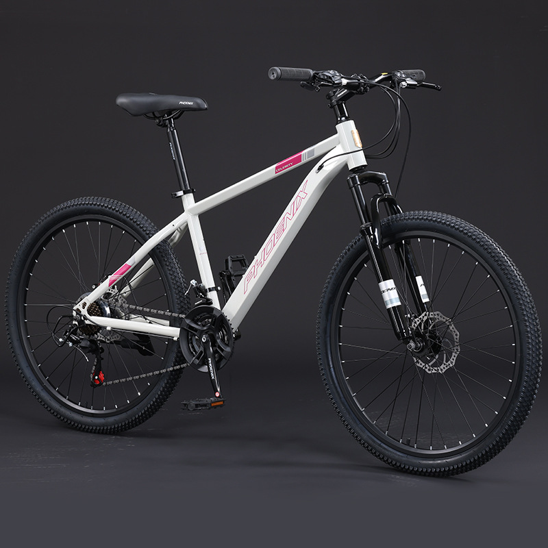 Steel frame spoke wheel-off-white-24 inches-24 speed
