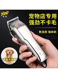 ���I������ë��������Ƽ���ë����Ȯ��������ӌ������؈��