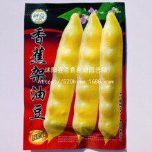 黄油豆角种子正宗香蕉架油豆架油豆籽东北金满架油豆角种子抗病