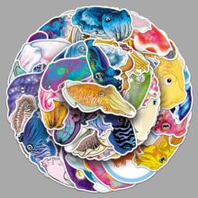 50\Nī~֦ͨˮb֙CNl