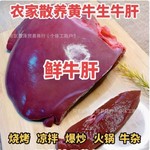生牛肝新鲜黄牛肝现杀原味牛杂烧烤火锅食材商用原切牛肝商用批发