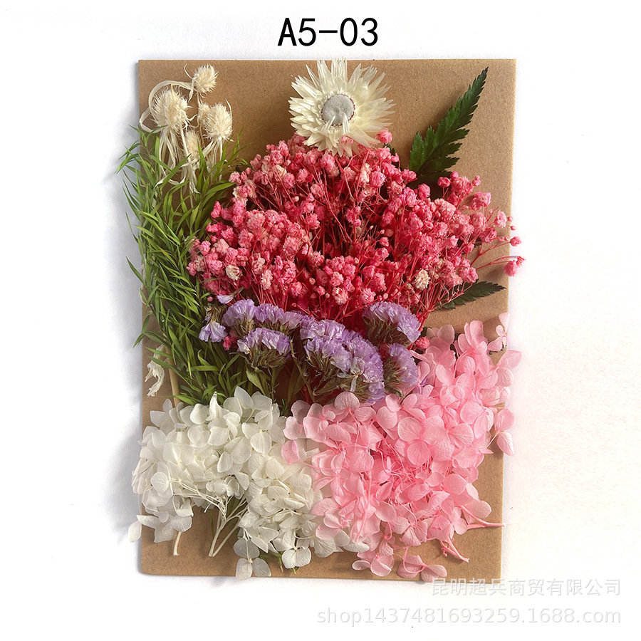 [Paquete de material de estampado A5] Flor seca flor eterna marco de fotos paquete de material de estampado DIY flor aromaterapia vela flor seca