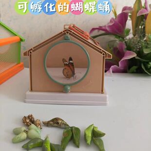 �W�t��������Ӽ�ɷ������w��ͯ�Y����B�����^��С���x����