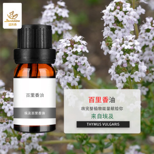 ���������㾫��Thyme oil����ݾ��͆η������������������