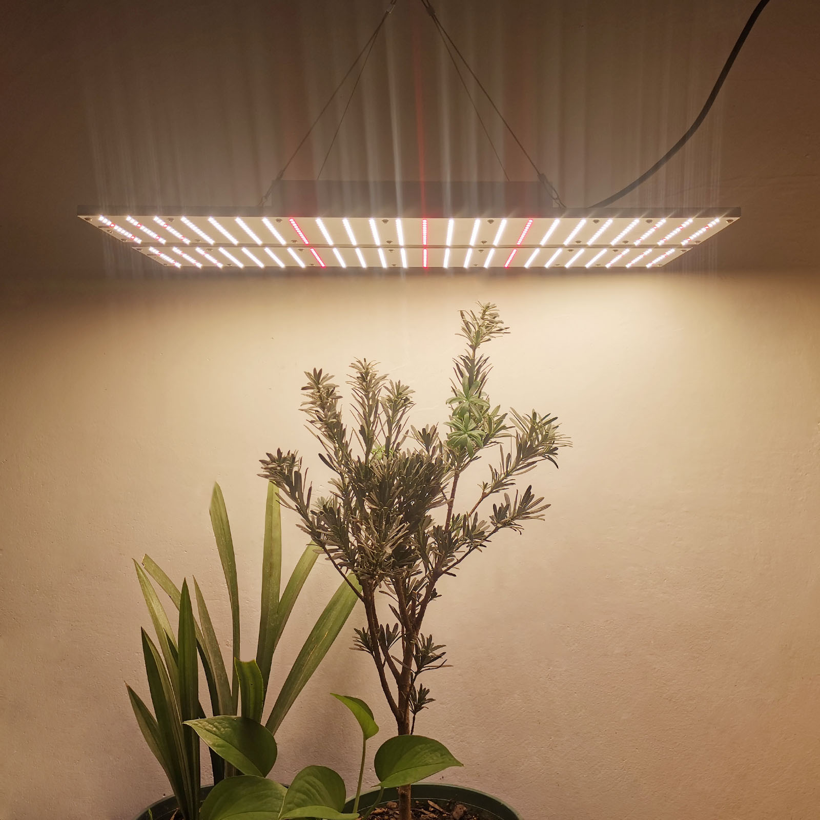 ȫ׷ˮ240W LEDӰֲƿɵʺҴﲹ