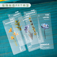 ֲ�ﻨ��pet�����羳�b��ز��Ї��L��퓊A�Ą��_�W����С�Y��