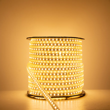 ߉LED 220V5050ˮ60ɫbl Vܛl