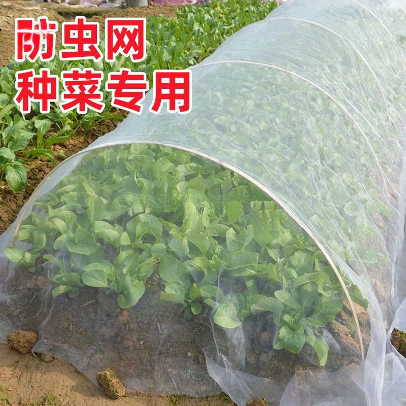 防虫网种菜专用80目防虫罩加密纱网菜地果园网蔬菜防鸟罩菜园菜地