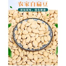 ���ڰױⶹ�r���ԷN��ș��500��g��Ʒ�N�ϰױⶹ��؛�����Ҝ�����