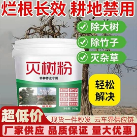 汽车清洁工具;玻璃用剂;马桶洁厕剂