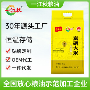 һ���︻������10������b5kg�����i�����ϵ������|��������
