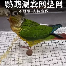 烧烤架烧烤网;鸟笼