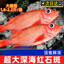 �tʯ���~�r������t�~��đ���F�~����~���~���r���rˮ�a