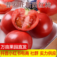 ���_��˹ˮ�����t�����lɳȿ�����֭���r�߲����Է��ѷ�
