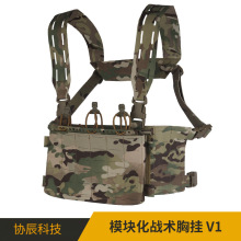 ģ�黯�Բ�ս���ع�V1