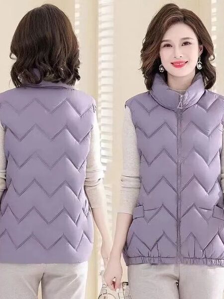 Demi-season vest with down
