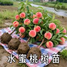 ˮ���Ҙ����Ҙ����V�|�Bƽ�޽��ϱ����Nֲ�S��ˮ���Ҙ䎧���ļ�