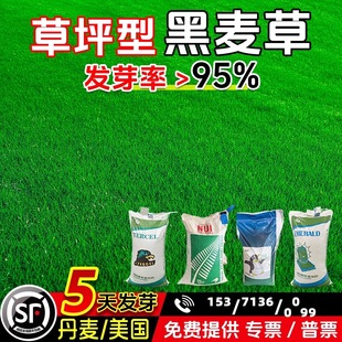 �����ݷN�Ӷ������ͺ���ƺ�����ļ������o�¹������̾G������