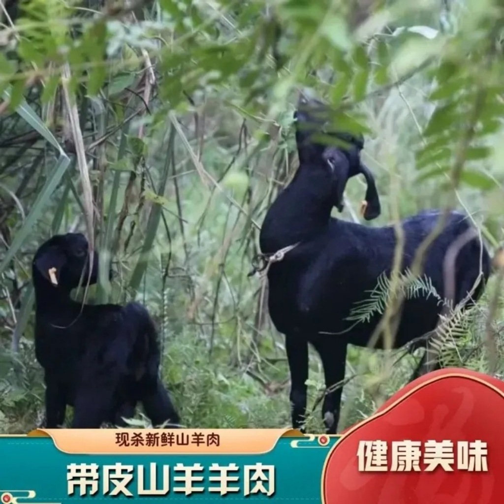 贵州山羊肉现杀新鲜带皮带骨放养黑山羊羊腿肉羊排肉真空冰鲜发货