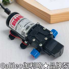 洗车水枪高压水泵热水清洗机泵喷雾灭尘泵24v洗车用高压水泵
