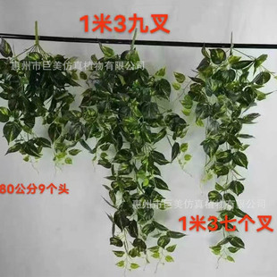 �������ڒ��ٗl���l ��ȼ�~�ӻ��G�}�ڒ����؛Դ B1����ȼ�Gֲ