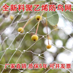 ���@���B�W���ھW����͸����ɫ��������ϩ�����Bֳ���ѾW�~���W