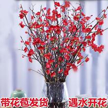 һ�����l�t÷�һ���֦�lˮ��ֲ���҃Ⱥ��Bѩ����֧ˮ�B�ɻ����͏d