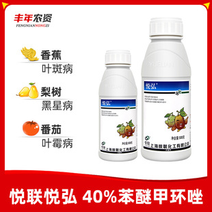 ������ 40%���Ѽ׭h�� �����㽶�~�߲����ǲ��׷۲��rș������