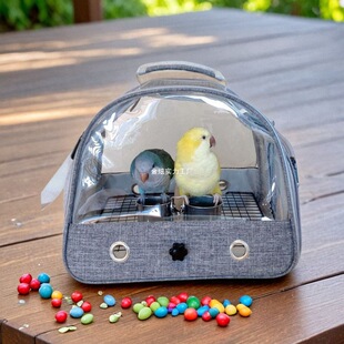 ����С̫͸��б���б�y������Ƥ�W�^�B������P����B�\ĵ���⎧