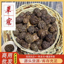 �ݶ�ޢ��ޢ�����{ζ�����ϲݿۻ�����lɢ�b���ں��ϲݿ܃��|��ޢ