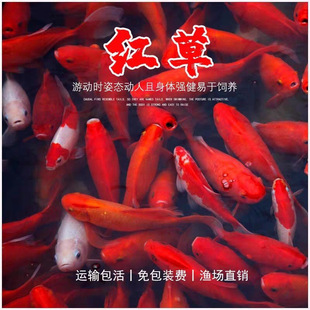 ���~�д��ͻ��~���~�t�ݽ��\���~�ݽ��~��ˮ�~��Ꭷ�~����B