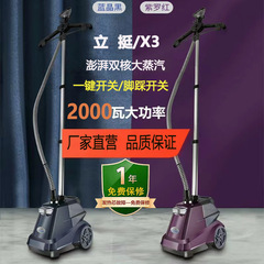 メーカー直営一直立大蒸気掛けアイロン服装店商用家庭用縦型アイロン電気アイロン