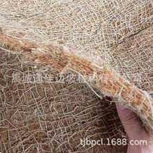 供应麻椰固土毯河道修复绿化麻椰毯可降解植生毯麻网椰丝毯
