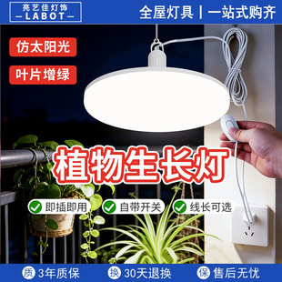 全光谱植物灯