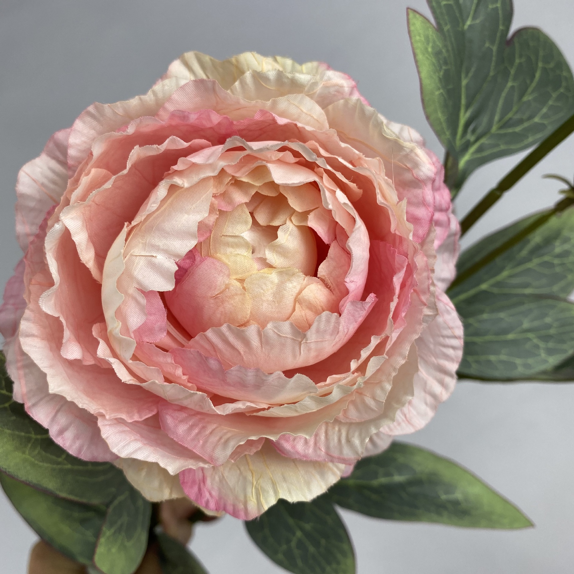 25079b8f14d29e93f4b8ae4ae408c3