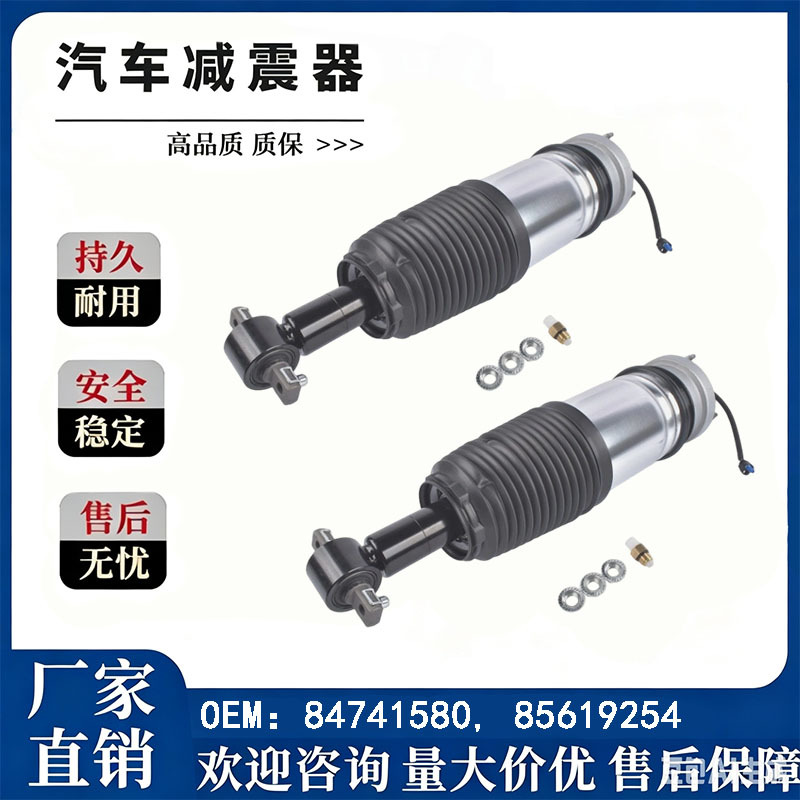 84741580/85619254/85619249/22358405/23150192 Shock Absorbers Factory Stock