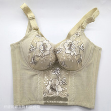 聚贤身材管理器TDS聚拢调整型收副乳长文胸 塑身矫正侧收薄杯胸罩