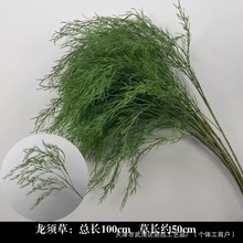 2025�¿�Gɫ���J���ݻ�c�Gֲ�~��ɭϵ�����쾰�ٻ���ˇ�b�