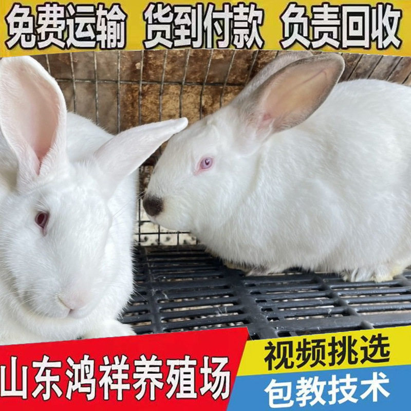 65fcdd78b827730a883f4849031203