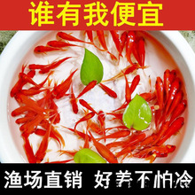 �^�p�~���~С�͵�ˮ�ͻ���ˮ���B���~�w���B�J������~�t�a�~��