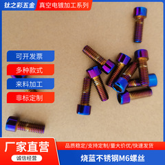 焼付青金ステンレス鋼M6ネジ固定六角形オートバイ改造部品卸売ネジ
