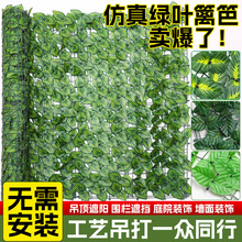 ��������h�ʾW���������ֲ���ٗl�̨�řھG�j��ɽ���⠝�ړ�