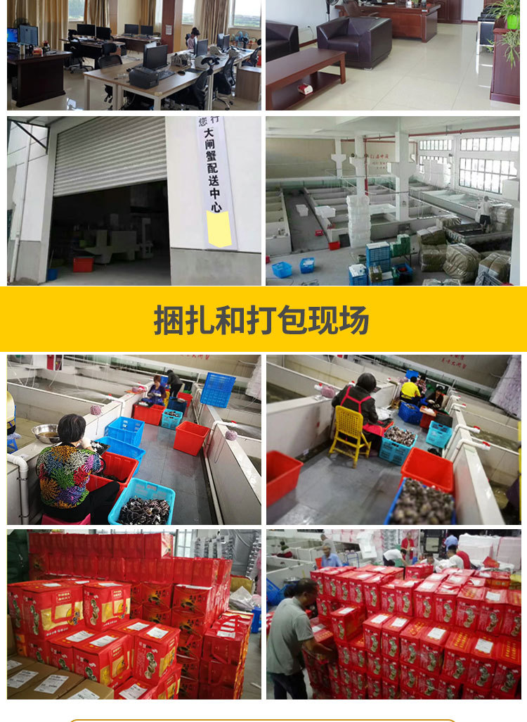 2021神行阿里巴巴礼券详情页无阳澄湖_02