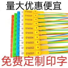 һ�������Ϸ�l�U��Ь���˵���ú�\܇؛܇���b��������������⺞