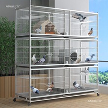 ���ӻ\���÷�ֳ�䌦�\�B���������Bֳ�\�ӌ��I����Ԫ�����\�F�z