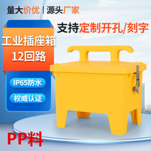 ����ʽ���I������12��·IP65��ˮС����乤���R�r����������