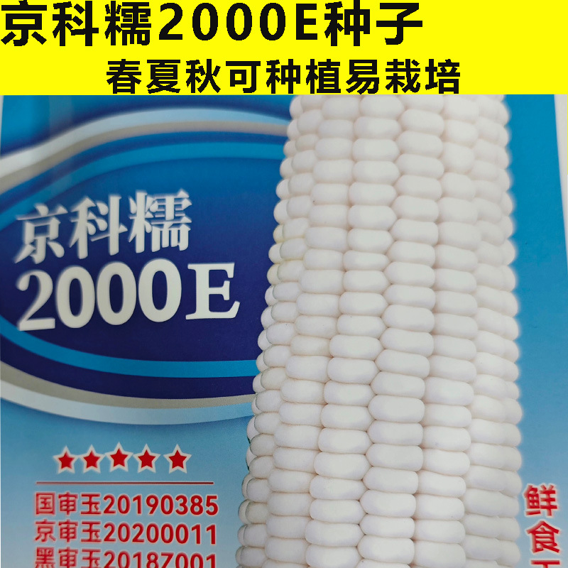 White Waxy Corn Seeds Sweet Waxy Type Sticky Sweet White Corn Seeds Nutritional Sticky Corn Seeds High Yield Free Shipping