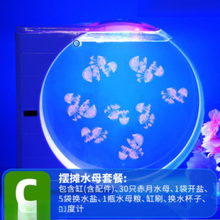 Jellyfish wholesale 100 ornamental living non-toxic sea moon jellyfish 2/3cm jellyfish living creatures ornamental jellyfish pendulum wholesale